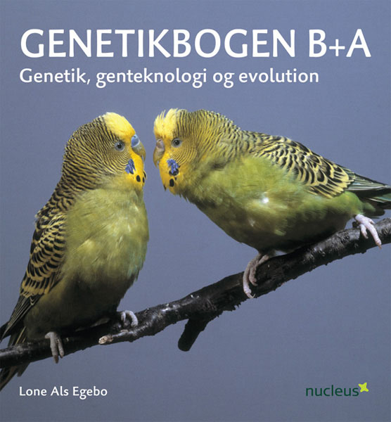 Genetikbogen_B_A.png